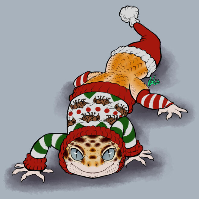 Gecko in an ugly christmas sweater Gecko in an ugly christmas sweater