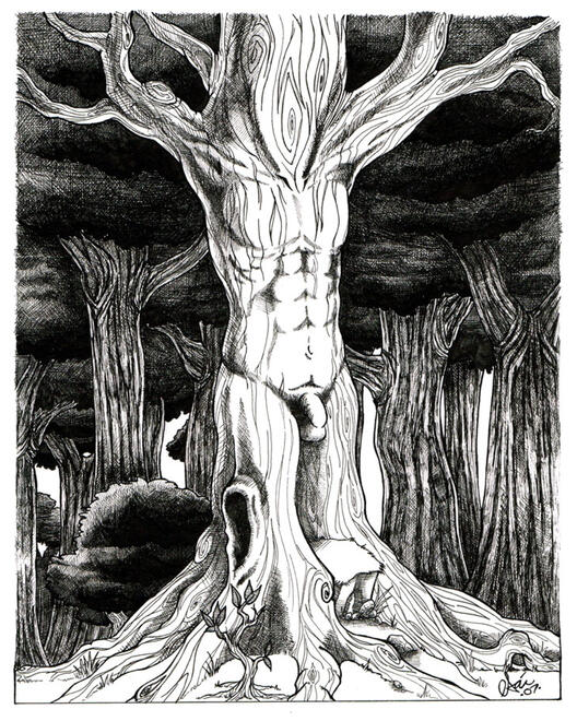 male dryad male dryad