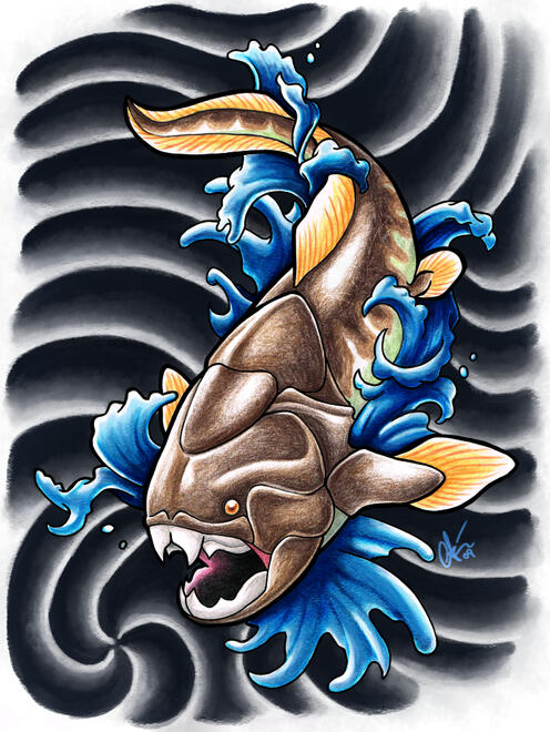 dunkelosteus dunkelosteus